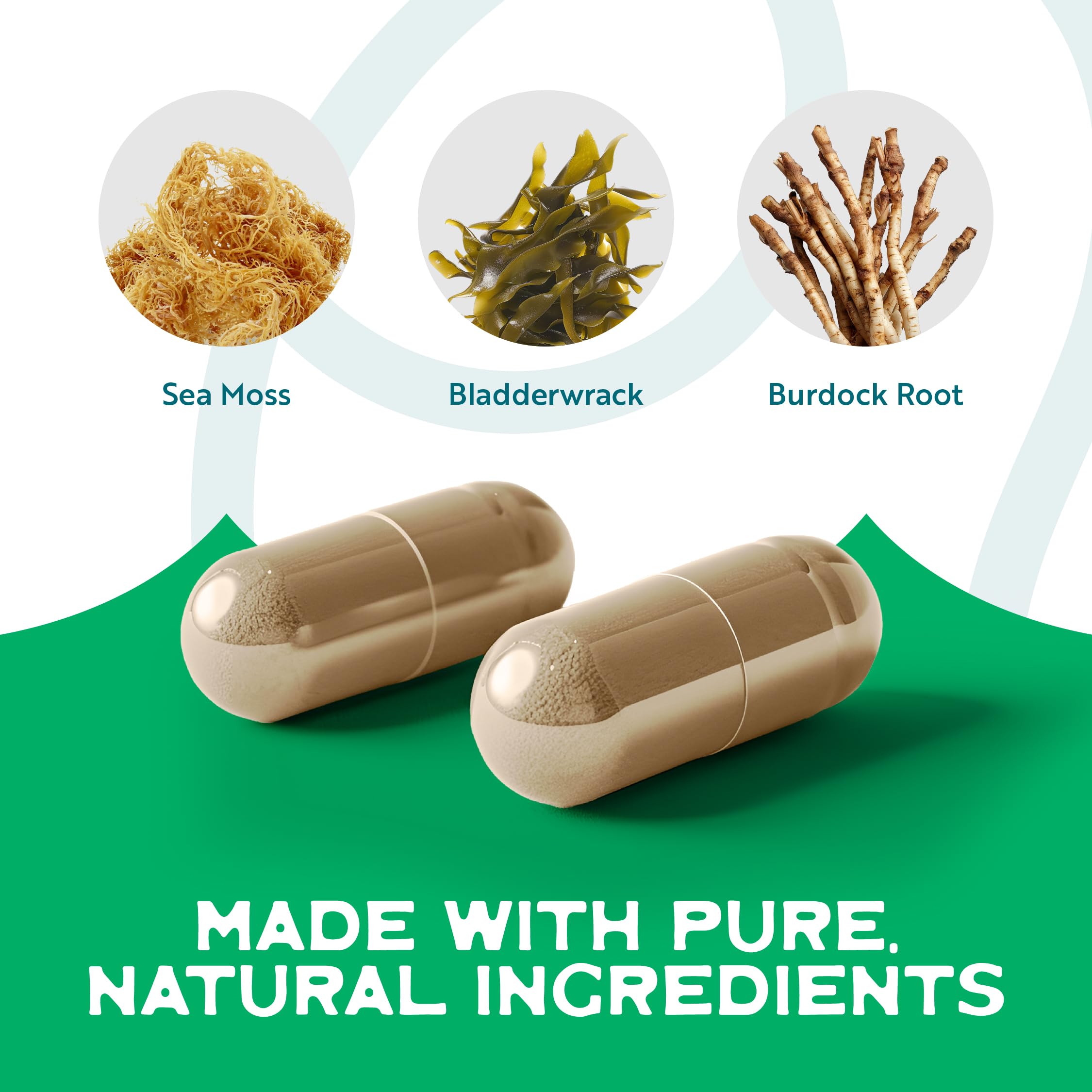 Herbal Vineyards Sea Moss Supplement 68g with a spoonful of powder