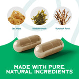 Herbal Vineyards Sea Moss Supplement 68g with a spoonful of powder
