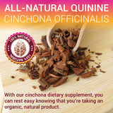 HERBALICIOUS Cinchona Bark Herbal Supplement 2oz with dropper