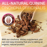 HERBALICIOUS Cinchona Capsules bottle with dosage information