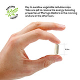 HERBALS Moringa Oleifera Capsules with organic moringa leaves