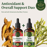 HERBAMAMA Berberine Liquid Supplement 500 mg lifestyle scene