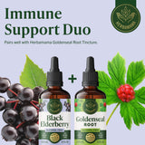 HERBAMAMA Black Elderberry Liquid Drops bottle side view