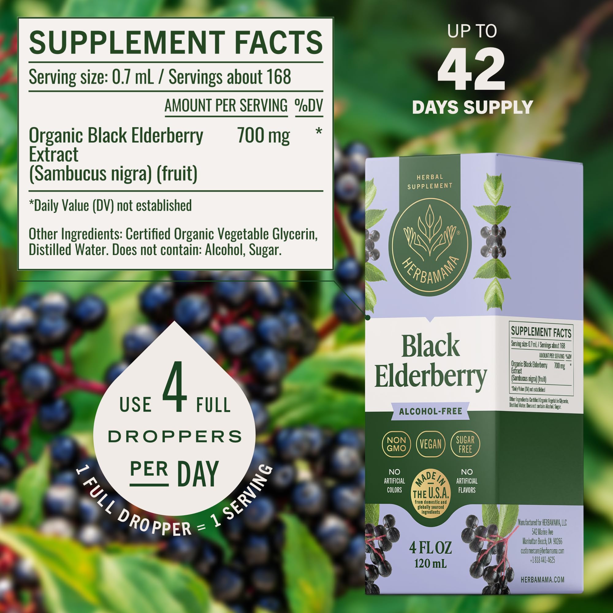 HERBAMAMA Black Elderberry Liquid Drops dropper bulb close-up