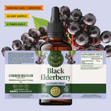 HERBAMAMA Black Elderberry Liquid Drops with fresh elderberries