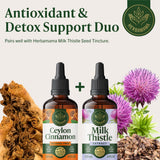 HERBAMAMA Cinnamon Ceylon Extract Liquid packaging details