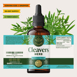 HERBAMAMA Cleavers Leaf Tincture 259g close-up of dropper
