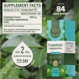 HERBAMAMA Cryptolepis Root Tincture bottle with water and glass