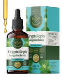 HERBAMAMA Cryptolepis Root Tincture front view with label