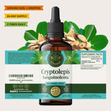 HERBAMAMA Cryptolepis Root Tincture lifestyle shot with fruits