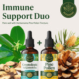 HERBAMAMA Cryptolepis Root Tincture on a wooden table