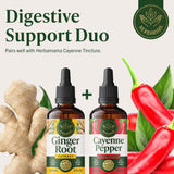 HERBAMAMA Ginger Extract Liquid Supplement on a kitchen counter