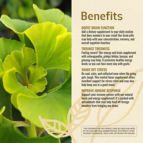 HERBAMAMA Ginkgo Biloba Brain Support Capsules close-up of ingredients