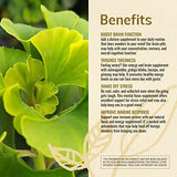 HERBAMAMA Ginkgo Biloba Brain Support Capsules close-up of ingredients