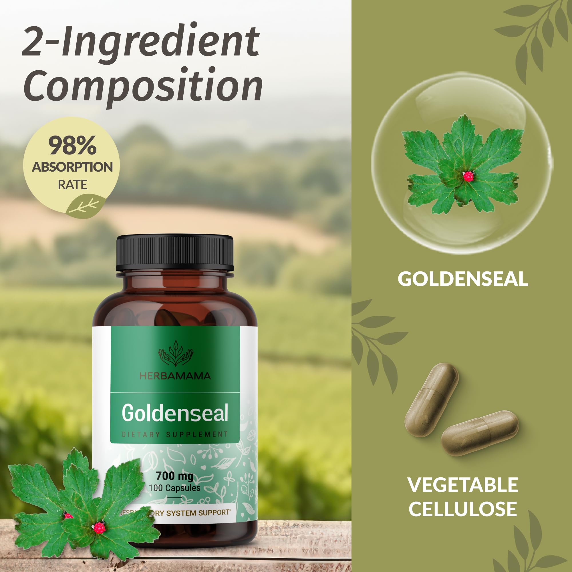 HERBAMAMA Goldenseal Root Capsules with glass of water