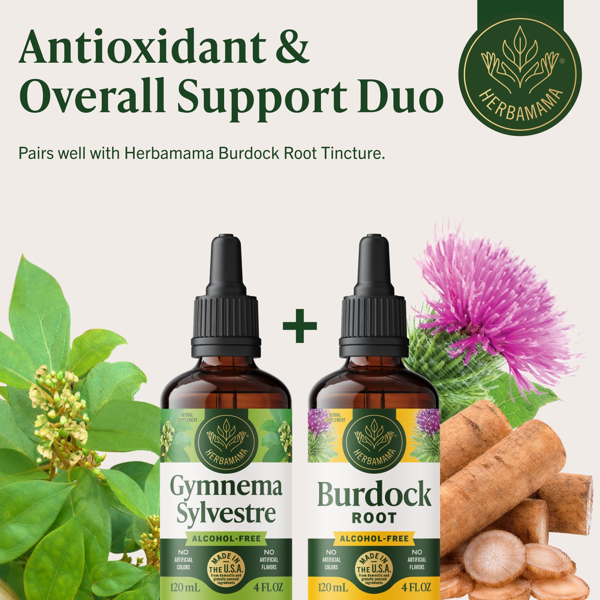 HERBAMAMA Gymnema Sylvestre Liquid Supplement lifestyle shot