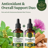 HERBAMAMA Gymnema Sylvestre Liquid Supplement lifestyle shot