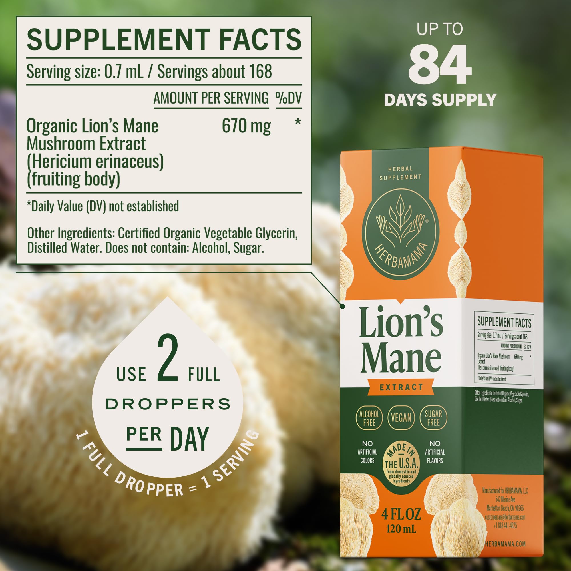 HERBAMAMA Lion's Mane Mushroom Drops dropper close-up