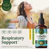 HERBAMAMA Lobelia Tincture bottle with label details