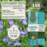 HERBAMAMA Lobelia Tincture dropper bulb close-up