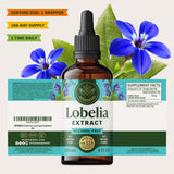 HERBAMAMA Lobelia Tincture with background of herbal ingredients