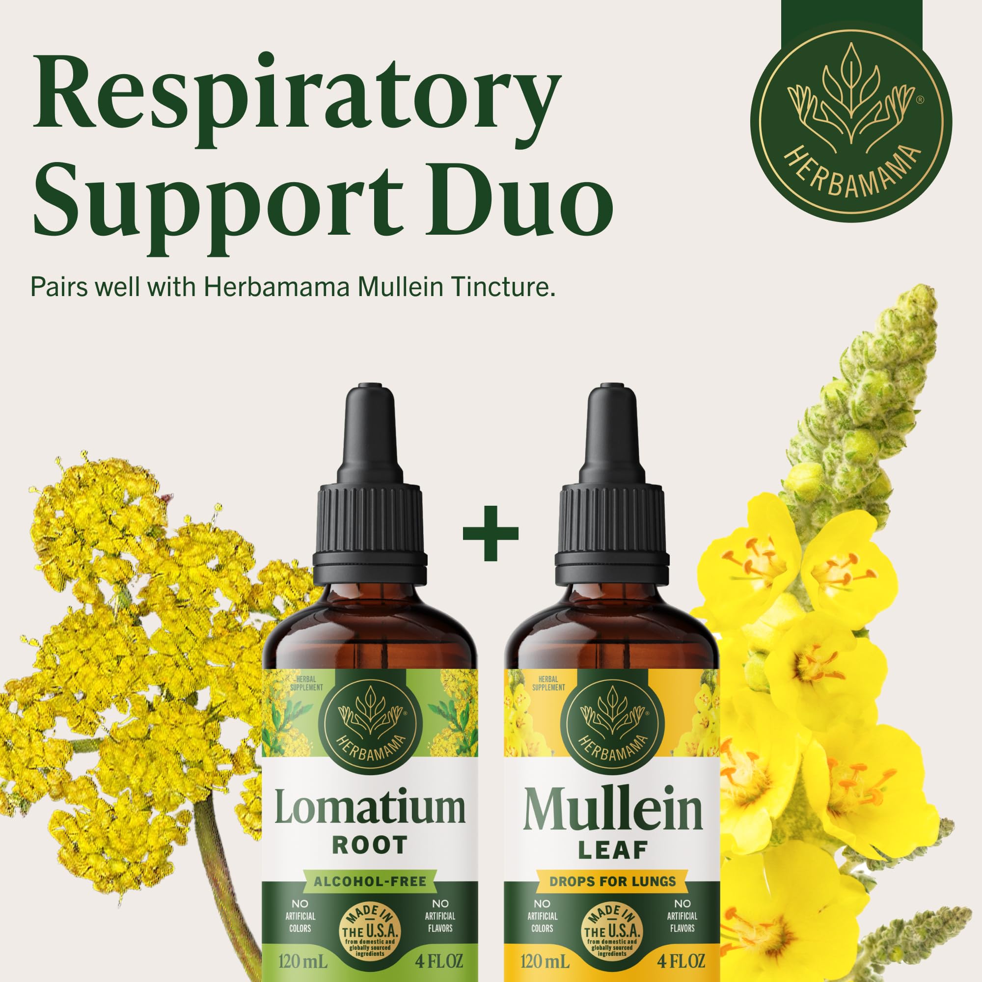 HERBAMAMA Lomatium Dissectum Tincture 285g with a glass of water
