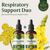 HERBAMAMA Lomatium Dissectum Tincture 285g with a glass of water