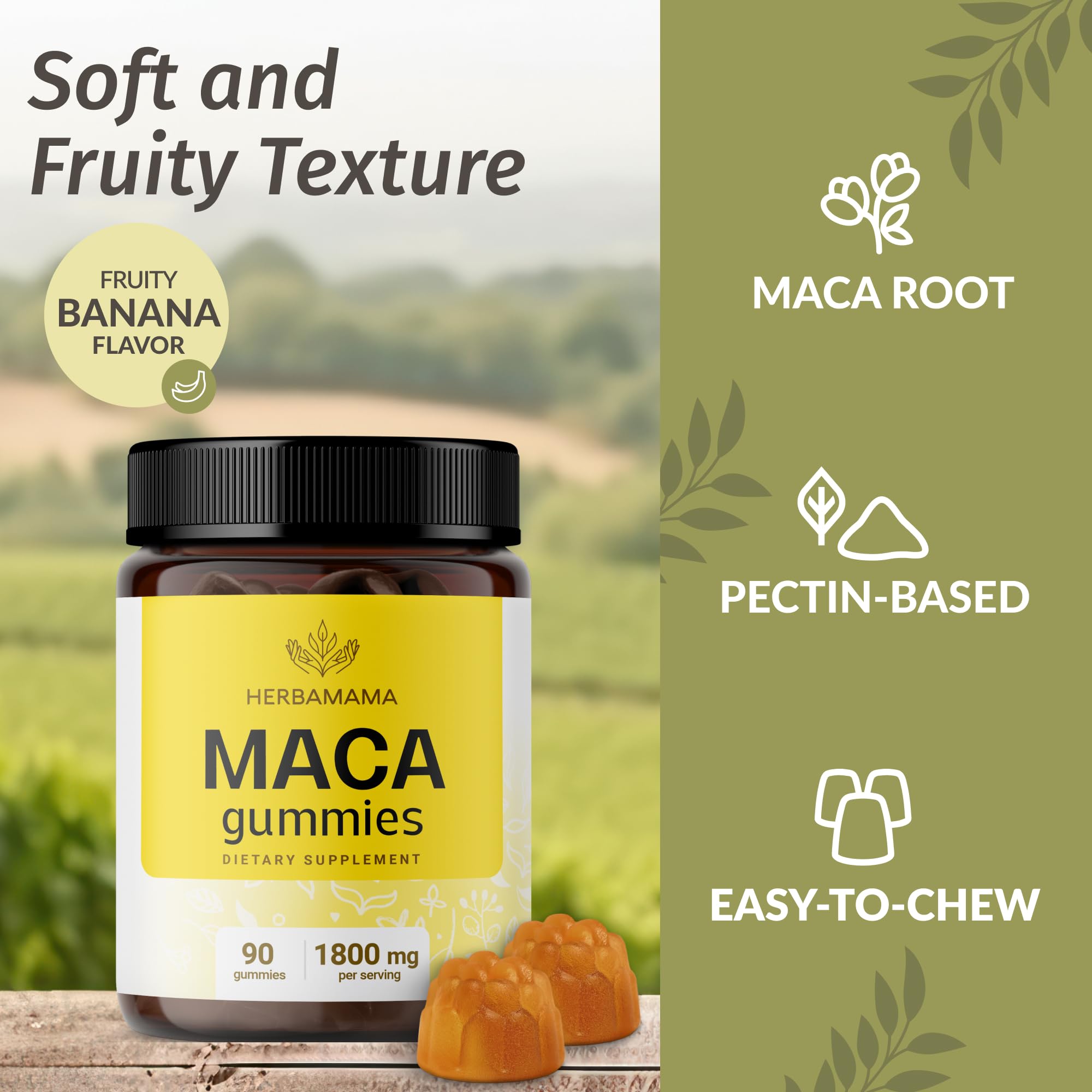HERBAMAMA Maca Root Gummies in hand for on-the-go use