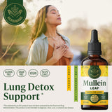 HERBAMAMA Mullein Leaf Extract 30ml side view