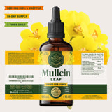 HERBAMAMA Mullein Leaf Extract displayed with water glass