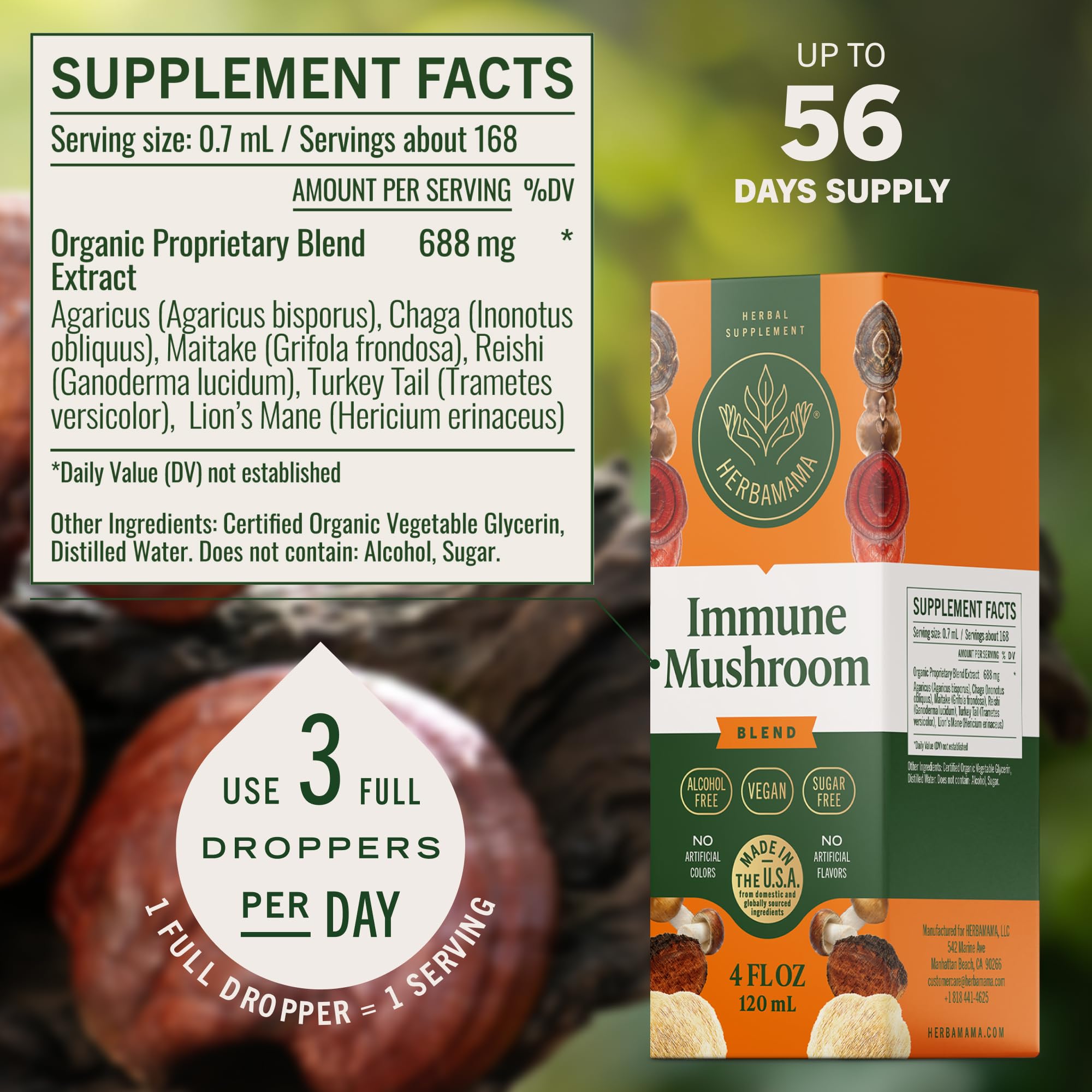 HERBAMAMA Mushroom Supplement Drops back view showing ingredients