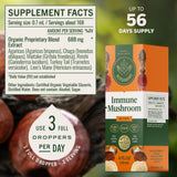 HERBAMAMA Mushroom Supplement Drops back view showing ingredients