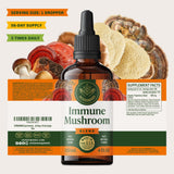 HERBAMAMA Mushroom Supplement Drops in hand for dosage