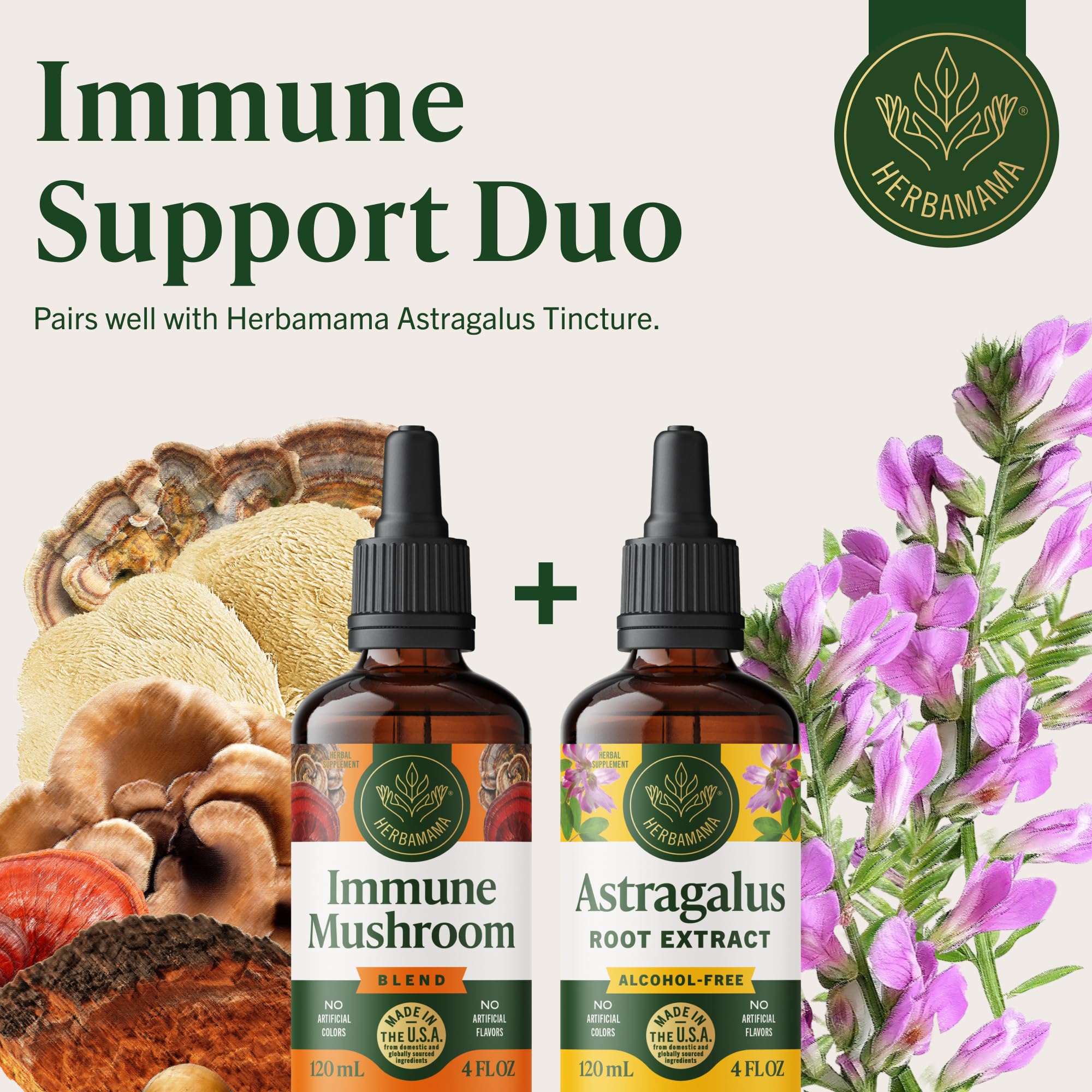 HERBAMAMA Mushroom Supplement Drops with fresh mushrooms