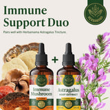 HERBAMAMA Mushroom Supplement Drops with fresh mushrooms