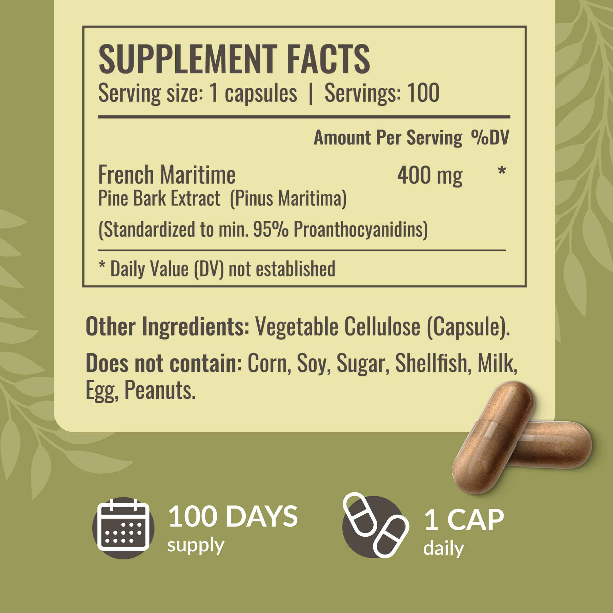 HERBAMAMA Pine Bark Extract Capsules displayed with a glass of water