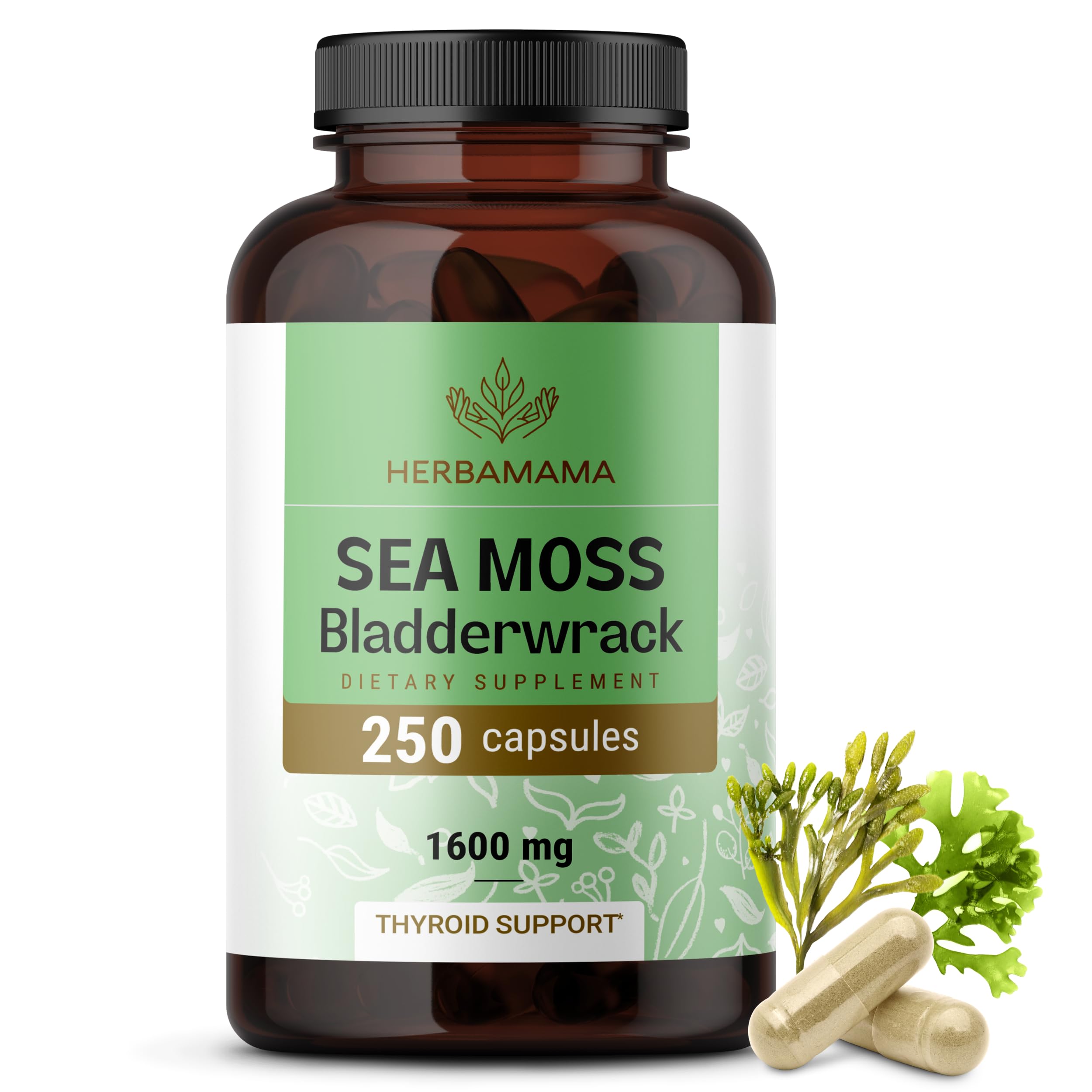 HERBAMAMA Sea Moss Capsules front view with packaging