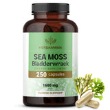 HERBAMAMA Sea Moss Capsules front view with packaging