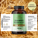 HERBAMAMA Sea Moss Capsules group shot with other herbal supplements