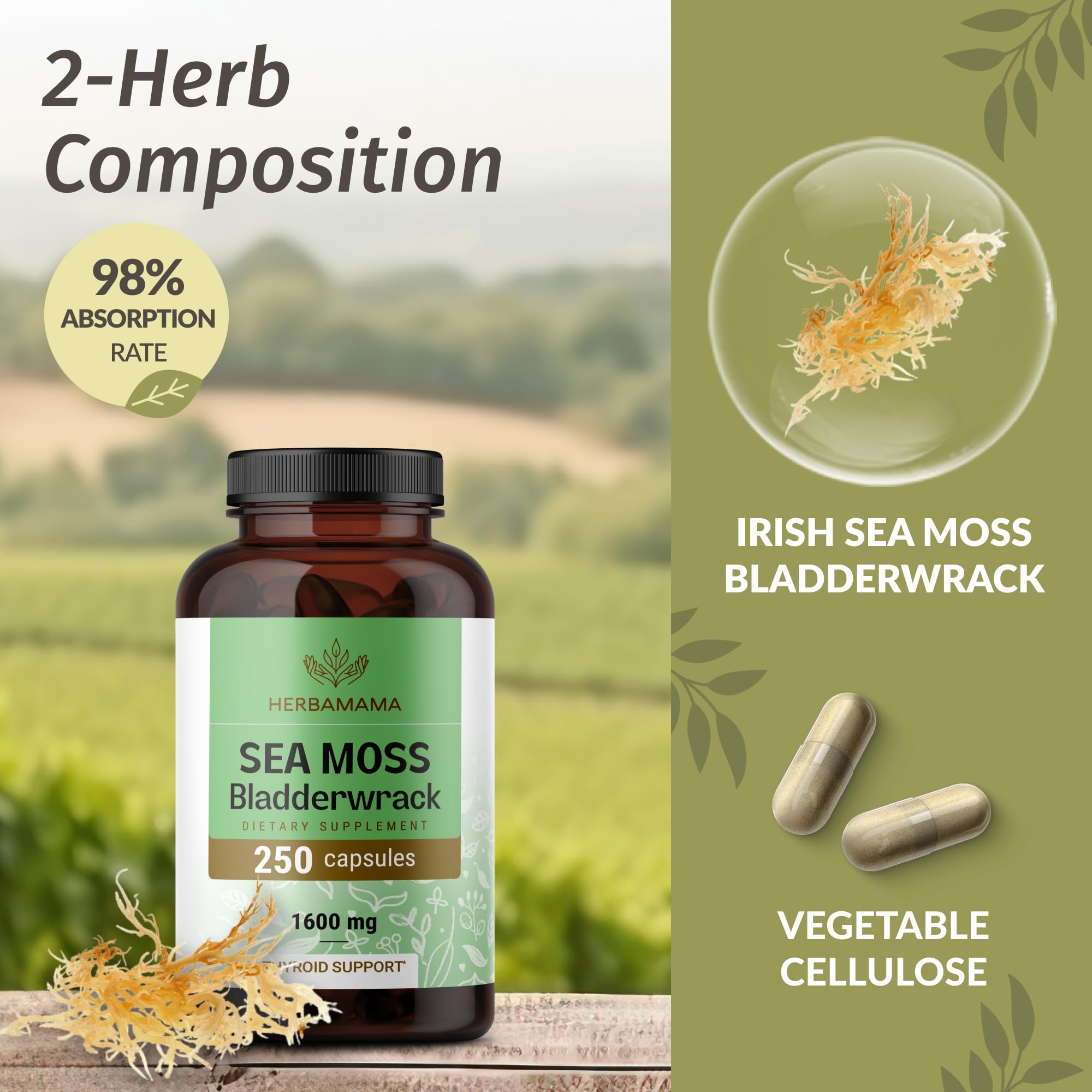 HERBAMAMA Sea Moss Capsules lifestyle scene with glass of water