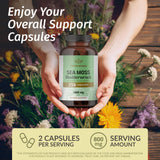HERBAMAMA Sea Moss Capsules side view showing ingredients