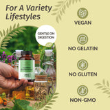 HERBAMAMA Sea Moss Capsules with a glass of water