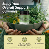 HERBAMAMA Sea Moss Gummies close-up of gummies in hand