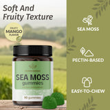 HERBAMAMA Sea Moss Gummies showing serving size of 2 gummies