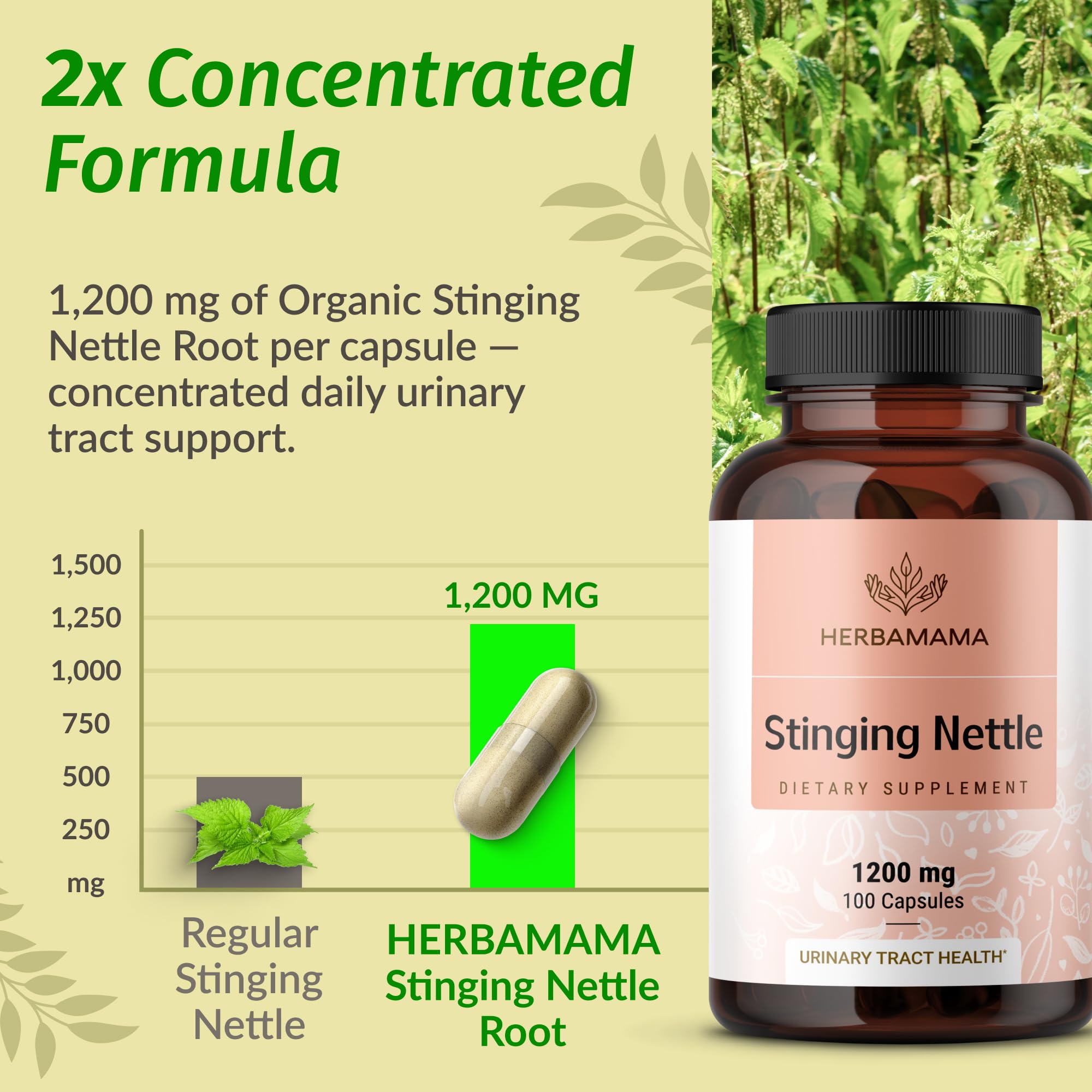 HERBAMAMA Stinging Nettle Capsules 1200mg bottle with glass of water