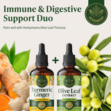 HERBAMAMA Turmeric Ginger Drops packaging details