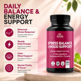 HerbaMe Ashwagandha Capsules with ingredients list on the back