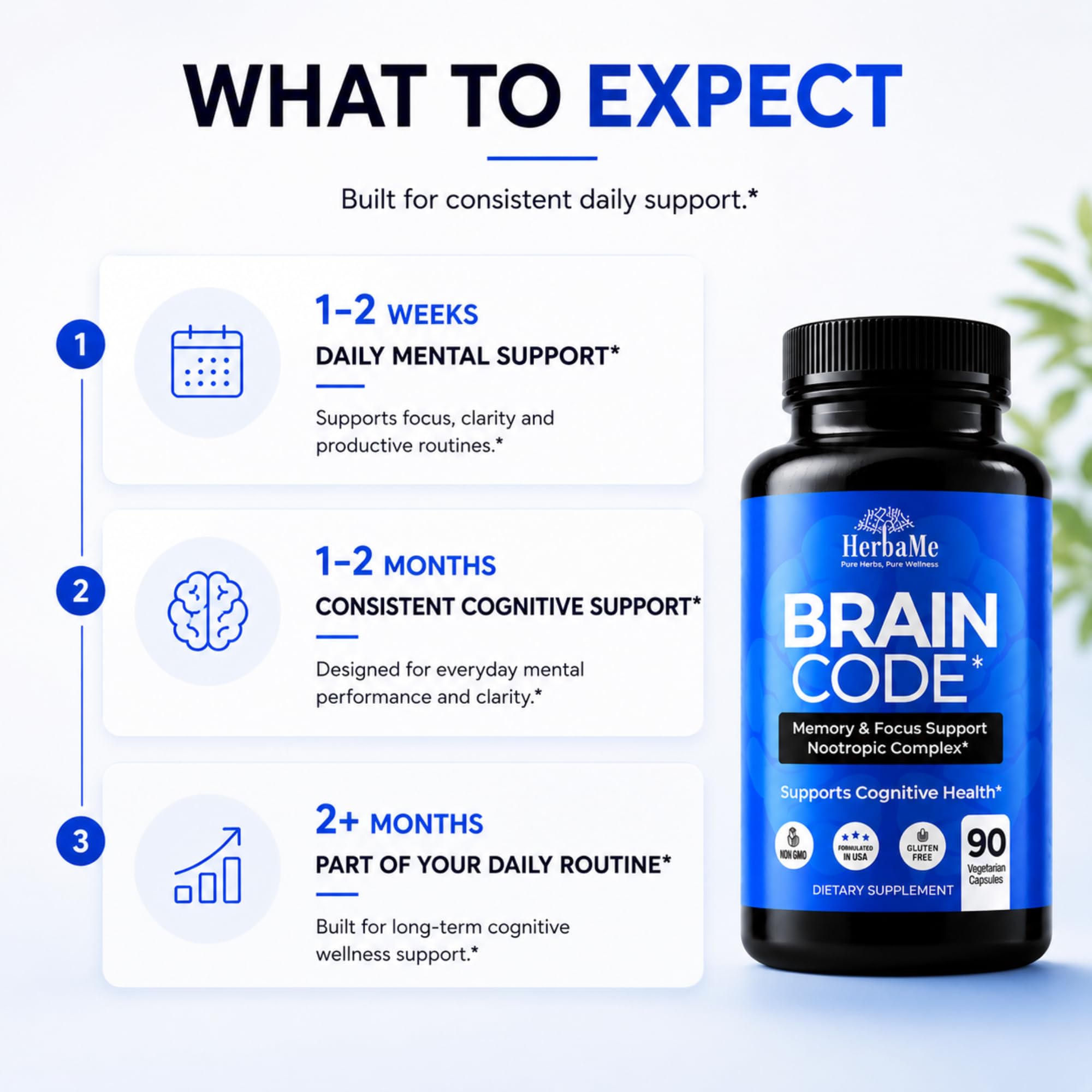 HerbaMe Ginkgo Biloba supplement displayed with study materials