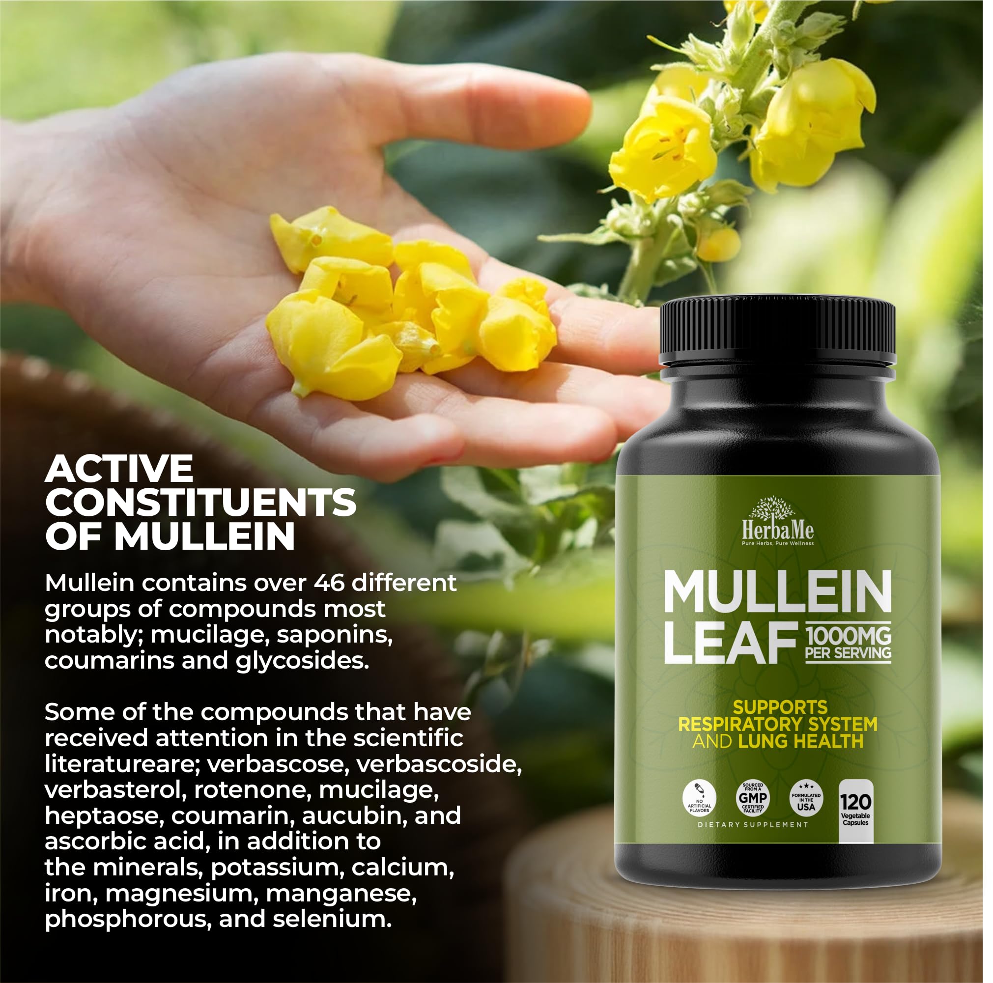 HerbaMe Mullein Leaf Powder displayed with herbal tea