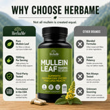 HerbaMe Mullein Leaf Powder ingredients list on the back